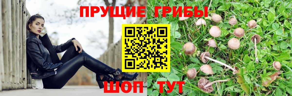 Галлюциногенные грибы Magic Shrooms Саров