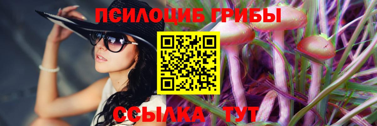 Саров  Псилоцибиновые грибы Magic Shrooms  Галлюциногенные грибы Cubensis  Вход с VPN 